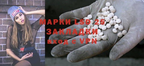 шишки Баксан