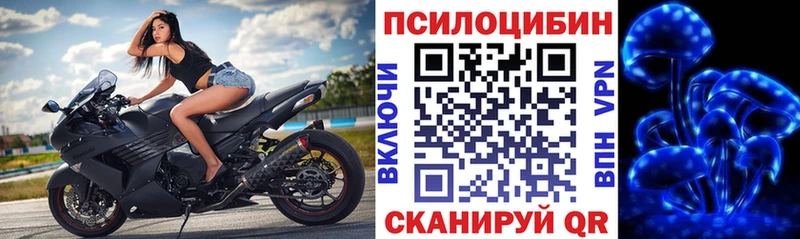 Галлюциногенные грибы мицелий  Заволжск 